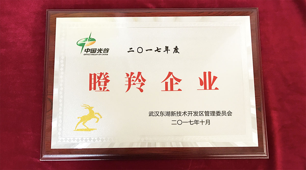 祝賀武漢邁信電氣技術(shù)有限公司榮獲中國光谷2017年度“瞪羚企業(yè)”！